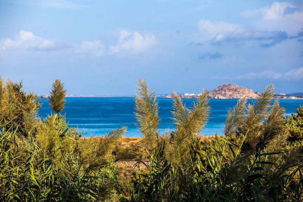 Villa Alyko Aliko Beach Luaran gambar